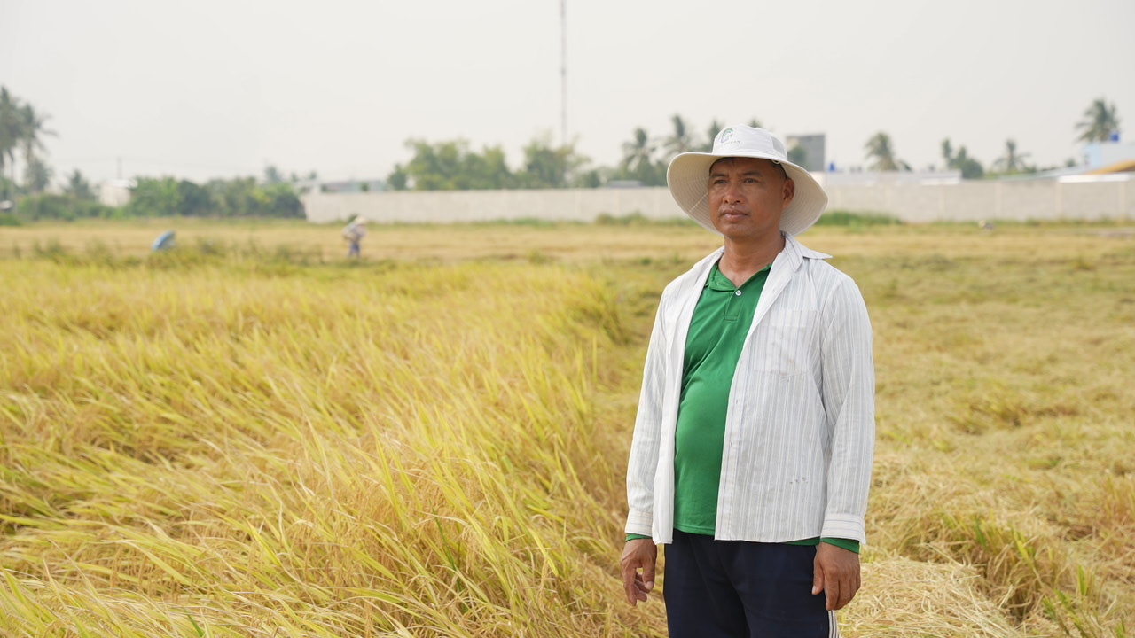 C9562T01 nông dân nhìn cánh đồng